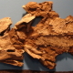 Darth_Tiktaalik