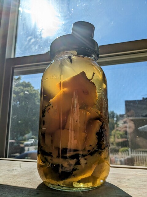 A large mason jar containing pineapple peels and chunks of pineapple core, as well as a yellowish liquid. The jar sits on a cutting board in a beam of sunlight coming through the window from a clear blue sky.