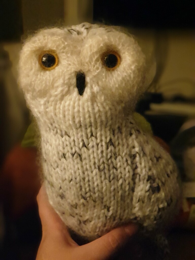 a knitted owl looks at the camera