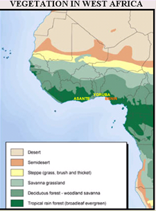 Classic Map of 'Vegetation in West Africa, showing clearly differentiated vegetation zones. Within the forest zone along the coast, I have put in names and locations of three major forest kingdoms: Asante, Benin and Yoruba kingdomes
