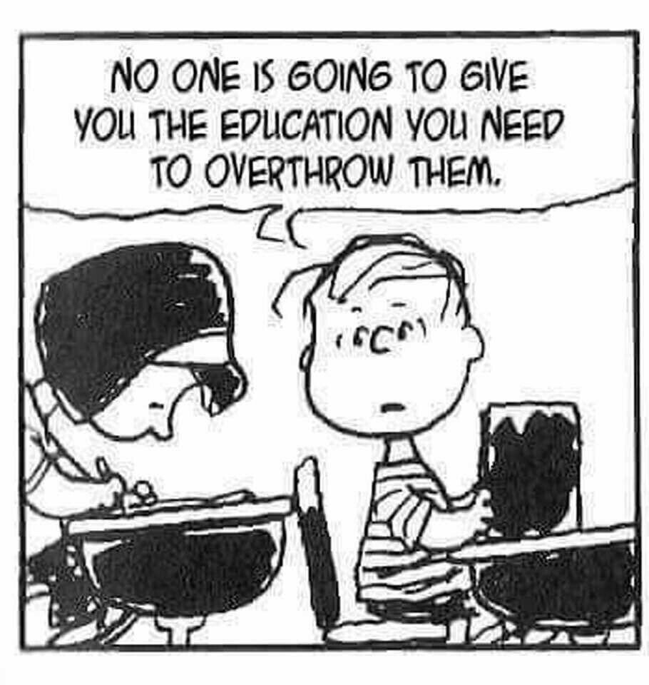 Linus from Peanuts in a classroom, telling another child: “No one is going to give you the education you need to overthrow them.”