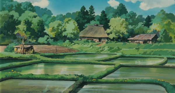 still from My Neighbour Totoro, of a field of rice paddies 