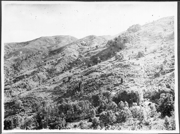 Black and white photograph taken of Mbaga in the South Pare Mountains in the 1920s/30s, showing some clumps of trees (sacred groves) and some early tree planting, but otherwise not much  tree cover

View of Mbaga Mission station, ca. 1927-1938. Guth, LLMA 3-940
