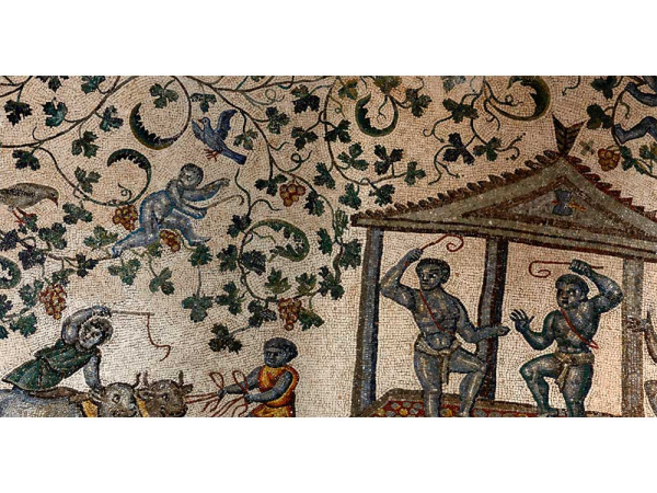 Mosaic from Santa Constanza, Rome, c.135 AD, showig vinegrapes, birds, cattle

https://ladonaira.com/in-praise-of-promiscuous-cultures/